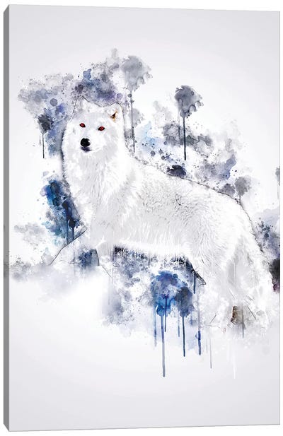 White Wolf Canvas Art Print - Cornel Vlad