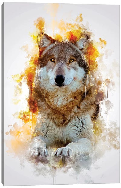 Wolf Canvas Art Print - Cornel Vlad