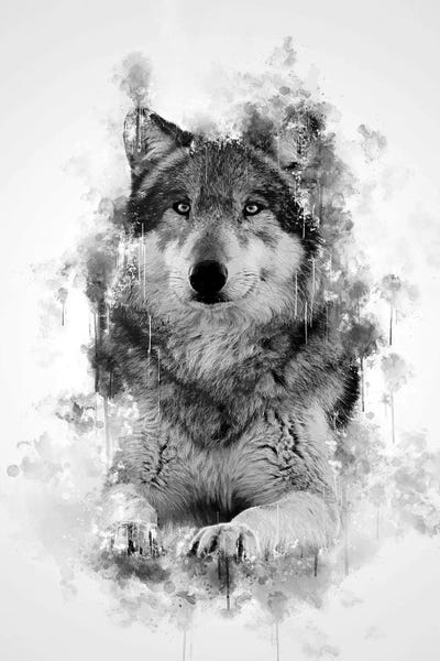 Wolf In Black And White by Cornel Vlad framed wall art