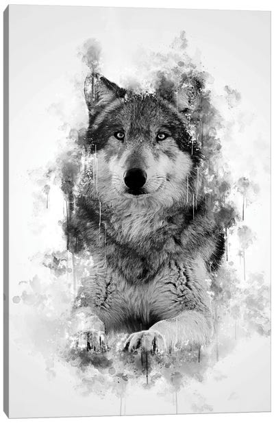 Wolf In Black And White Canvas Art Print - Wolf Art