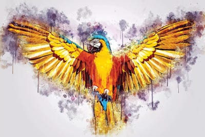 Yellow Parrot by Cornel Vlad art print