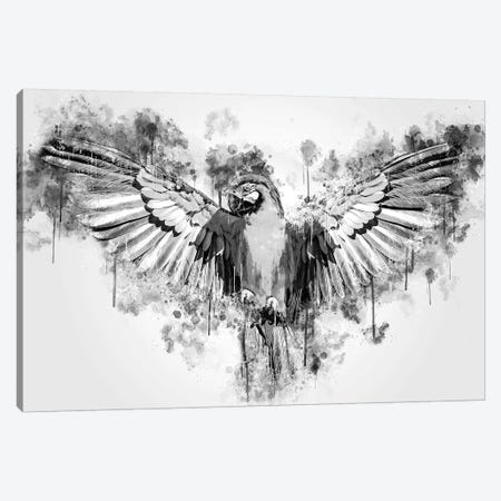 Parrot In Black And White Canvas Print #CVL163} by Cornel Vlad Canvas Wall Art