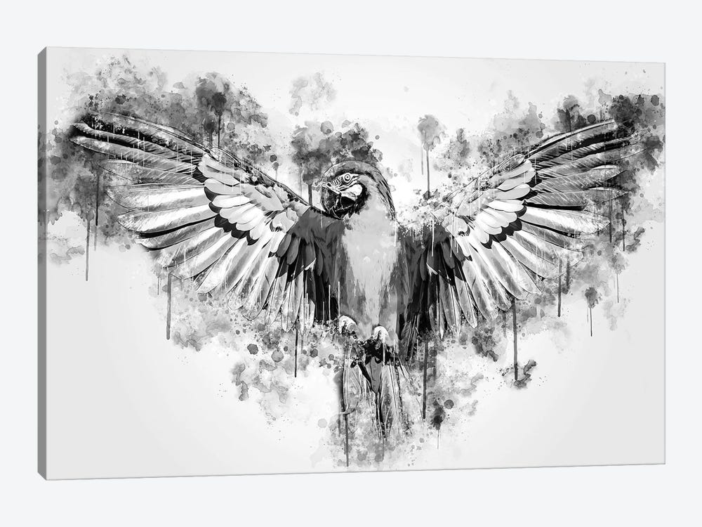 Parrot In Black And White by Cornel Vlad 1-piece Art Print