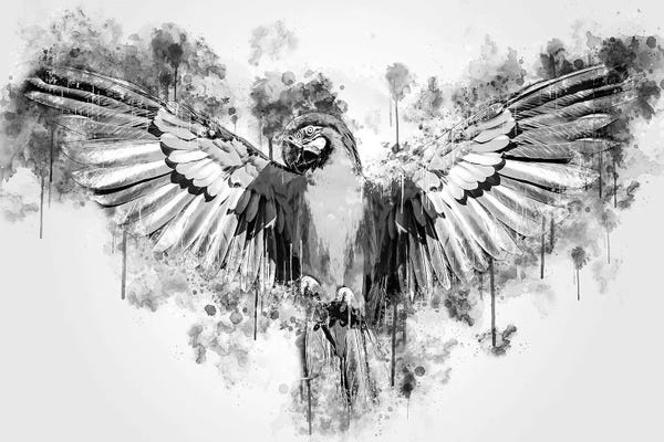 Parrot In Black And White