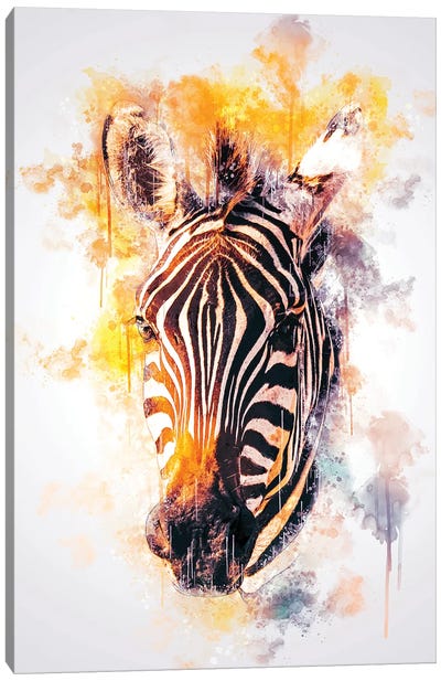 Zebra Head Canvas Art Print - Zebra Art