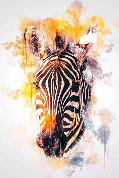 Zebras: Zebra Head by Cornel Vlad