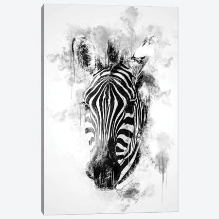 Zebra Head In Black And White Canvas Print #CVL165} by Cornel Vlad Canvas Art Print