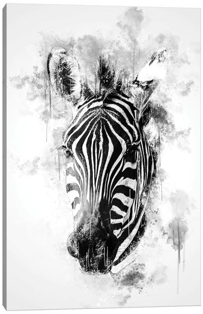 Zebra Head In Black And White Canvas Art Print - Zebra Art