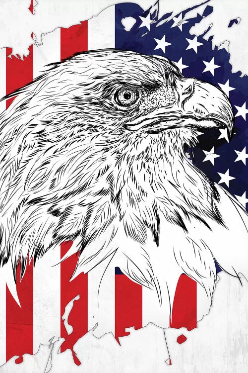 Bald Eagle And American Flag