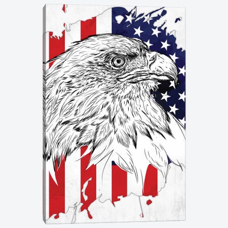 Bald Eagle And American Flag Canvas Print #CVL166} by Cornel Vlad Art Print