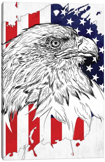 Bald Eagle And American Flag Canvas Art Print - Cornel Vlad