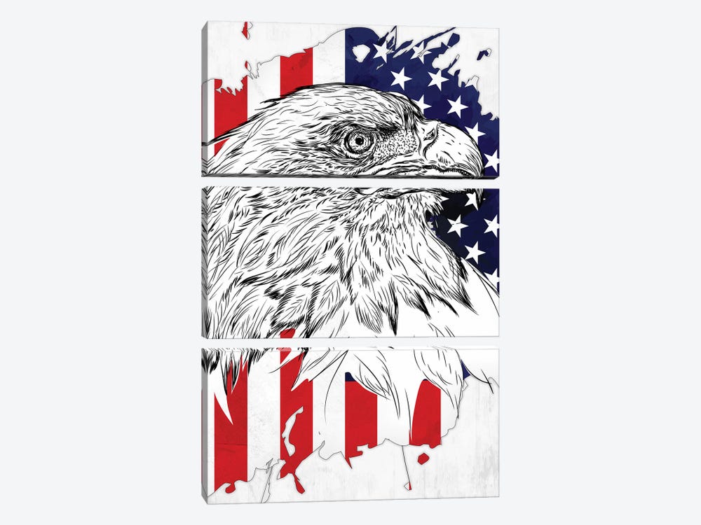 Bald Eagle And American Flag by Cornel Vlad 3-piece Canvas Wall Art