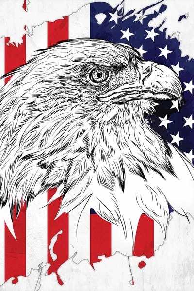 Bald Eagle And American Flag