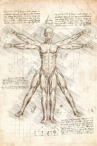 Science: Vitruvian Man by Cornel Vlad