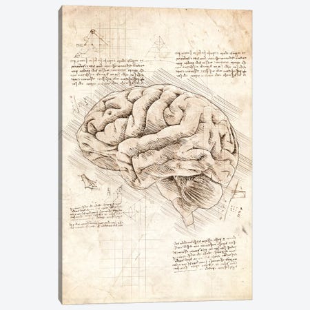 Human Brain Canvas Print #CVL170} by Cornel Vlad Art Print