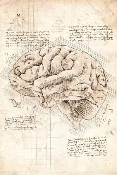 Science: Human Brain by Cornel Vlad