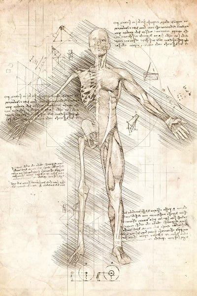 Science: Human Male Half Drawing by Cornel Vlad