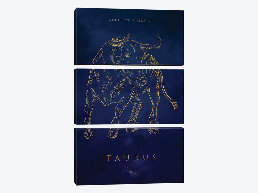 Taurus by Cornel Vlad 3-piece Canvas Artwork