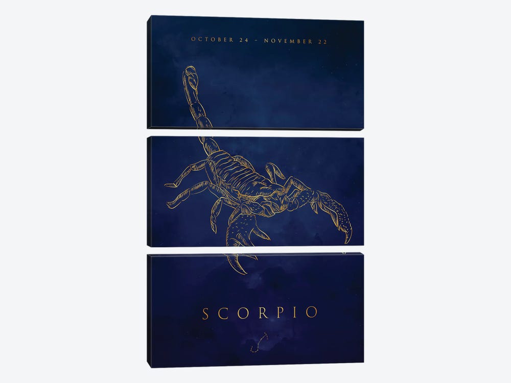 Scorpio by Cornel Vlad 3-piece Canvas Art Print