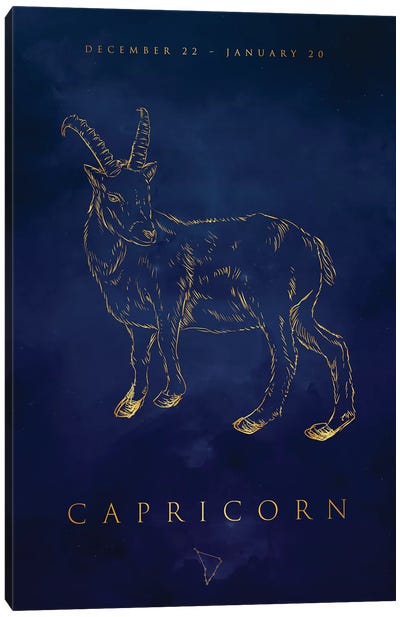 Capricorn Canvas Art Print - Cornel Vlad