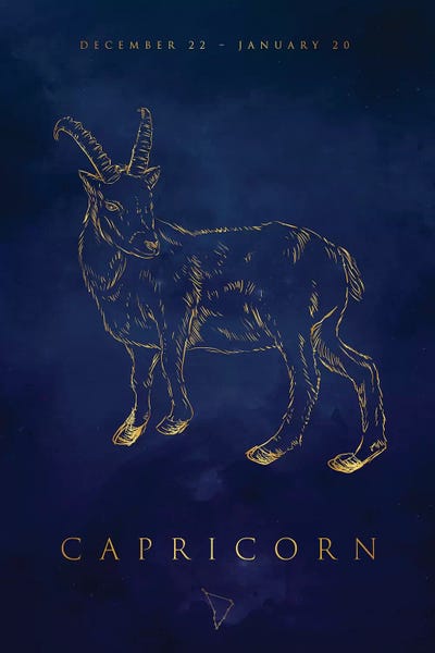 Capricorn: Capricorn by Cornel Vlad