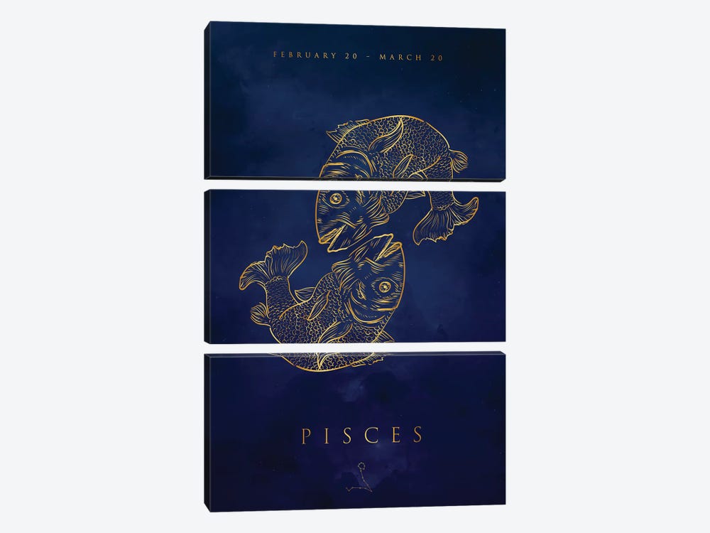 Pisces by Cornel Vlad 3-piece Art Print