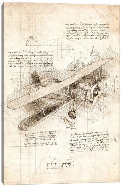 Biplane Aircraft Canvas Art Print - Airplane Art