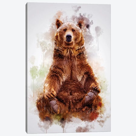 Brown Bear Canvas Print #CVL192} by Cornel Vlad Canvas Art Print