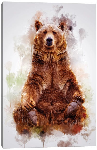 Brown Bear Canvas Art Print - Brown Bear Art