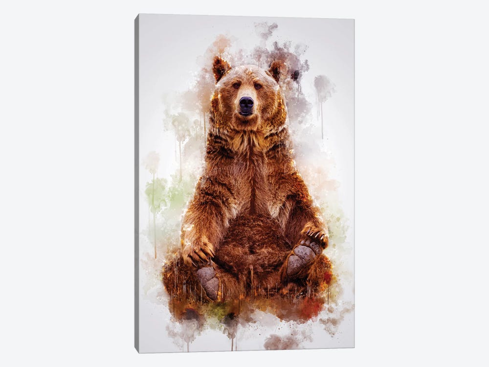 Brown Bear by Cornel Vlad 1-piece Canvas Print
