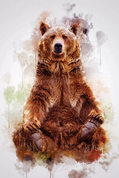 Brown Bears: Brown Bear by Cornel Vlad