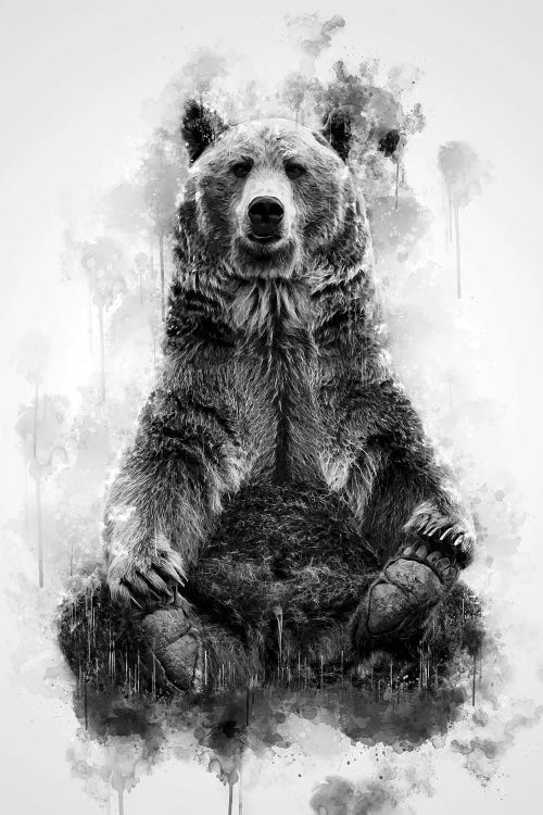 Brown Bear Black And White