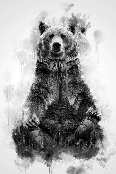 Bears: Brown Bear Black And White by Cornel Vlad