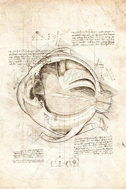 Human Eye Internals