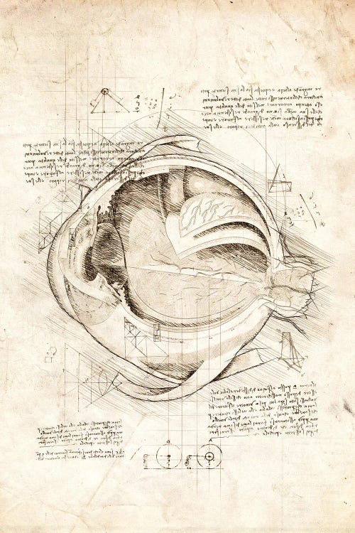 Human Eye Internals by Cornel Vlad wall art
