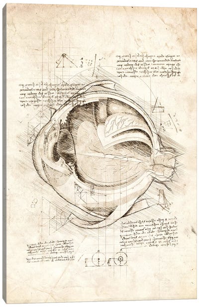 Human Eye Internals Canvas Art Print - Medical & Dental Blueprints