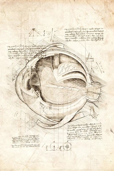 Eyes: Human Eye Internals by Cornel Vlad