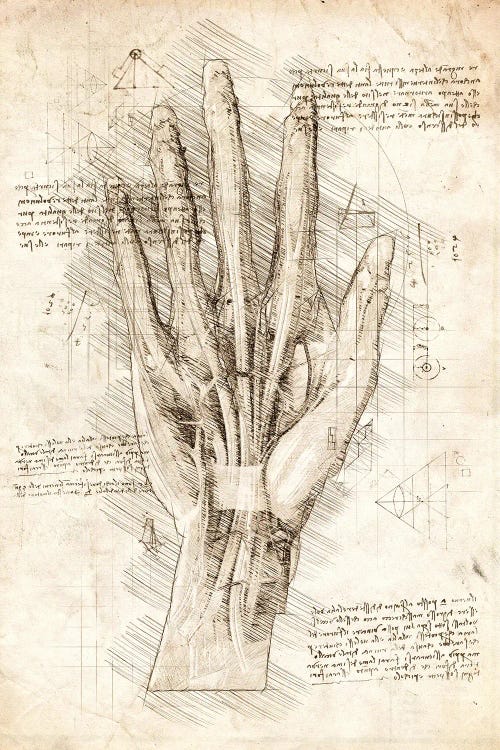 Human Hand