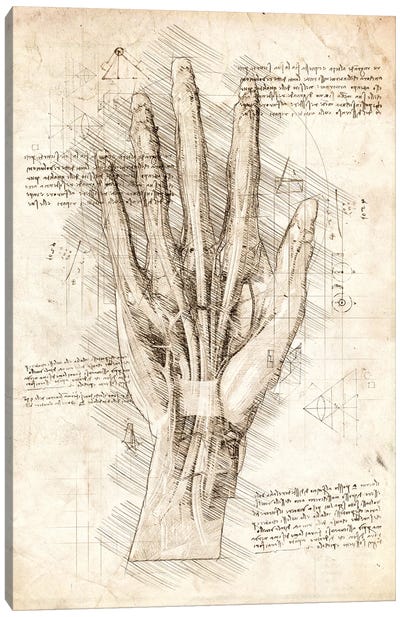 Human Hand Canvas Art Print - Medical & Dental Blueprints
