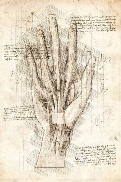 Human Hand