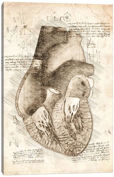 Human Heart Inside View Canvas Art Print - Medical & Dental Blueprints
