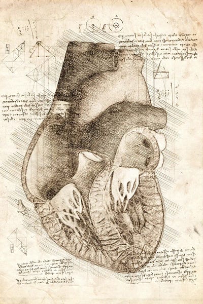 Medical & Dental Blueprints: Human Heart Inside View by Cornel Vlad
