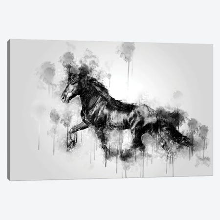 Horse Running Black And White Canvas Print #CVL202} by Cornel Vlad Canvas Art Print
