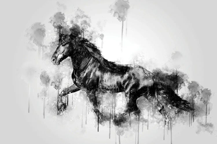 Horse Running Black And White