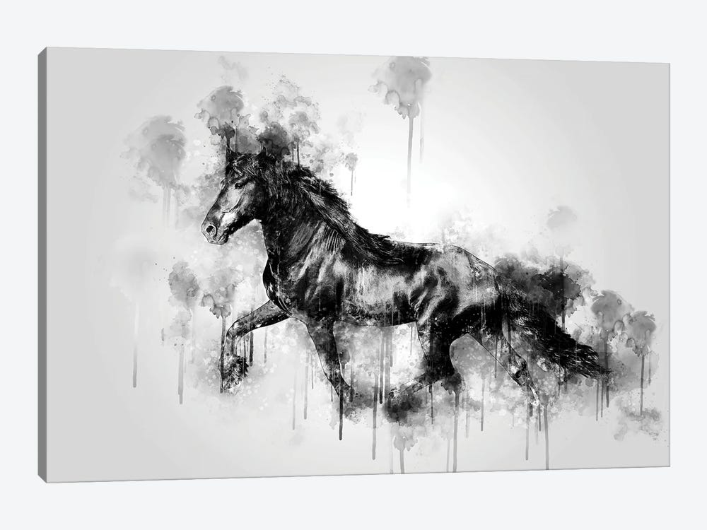 Horse Running Black And White by Cornel Vlad 1-piece Canvas Wall Art