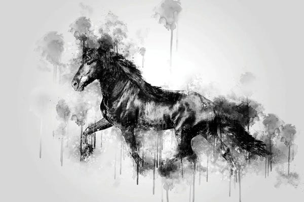 Horse Running Black And White
