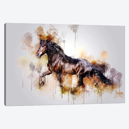 Horse Running Watercolor Canvas Print #CVL203} by Cornel Vlad Canvas Print