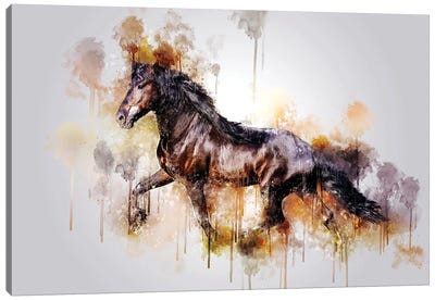 Horse Running Watercolor Canvas Art Print - Cornel Vlad