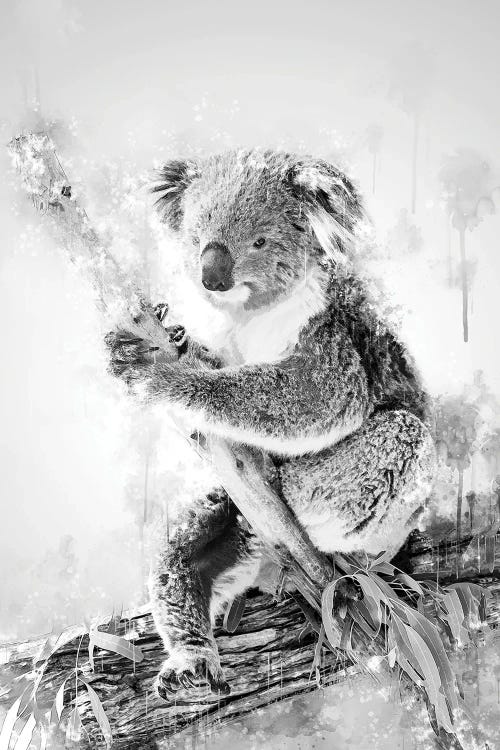 Koala On A Branch Black And White