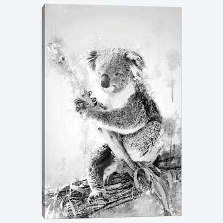 Koala On A Branch Black And White Canvas Print #CVL204} by Cornel Vlad Canvas Wall Art